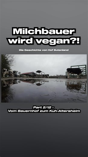 Die Geschichte von Hof Butenland - Part 2/12. Bitte hört auf Tiere als Ware anzusehen und für ihr Leid und ihren Tod verantwortlich zu sein - lebt vegan 🌱💚 #foryoupage #fy #foryou #landwirtschaft #bauern #bauernhof #landwirtschaftausleidenschaft #kühe #rinder #fleckvieh #fleisch #milch #eier #niedersachsen #butenland #vegan #veganismus #tiere #nutztiere #haustiere #tierrechte