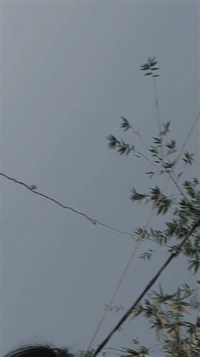 cholate ___girl __🍫🍫🍫 on Instagram