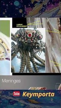 Matrix le Sentinelle "Cervelletto" #matrix #curiosità #film #intrattenimento #scienza