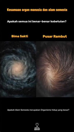 Seberapa mirip organ manusia dan alam semesta | Apakah semua ini hanya kebetulan? #shorts #edukasi