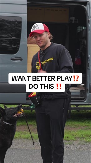 Effective Dog Training: Teaching the Drop It Command