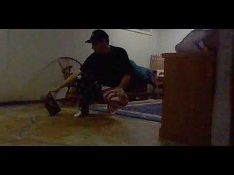 Gemmy inflatable turkey talking video