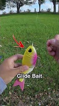 I Tried Using A GLIDE BAIT For HUGE BASS...