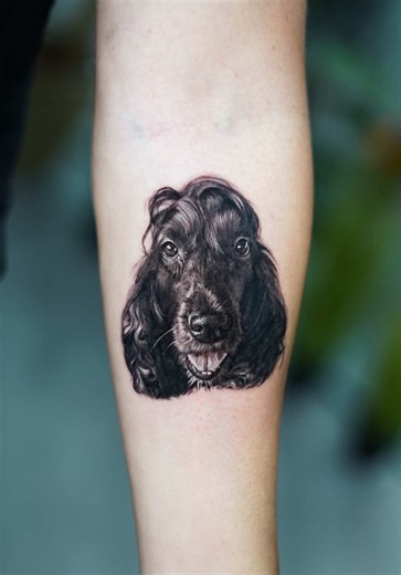 Forever Together: Pet Tattoo Experience in Miami