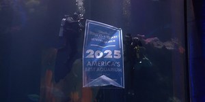 Springfield’s Wonders of Wildlife honored as nation’s top aquarium, again