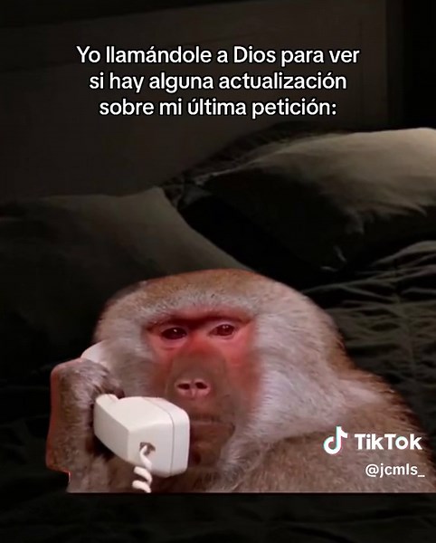 Praying to God Meme for Updates on Requests