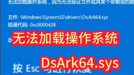 win11无法加载操作系统因为无法验证数字签名，Dsark64.sys.错误代码0x00000428#电脑知识 #电脑系统重装教程