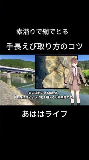 岩の隙間に網を入れたら…手長エビ捕れた！初心者でもできるコツ