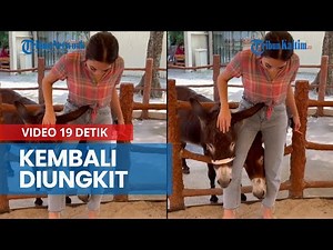 Kasus Video Syur 19 Detik Gisel dengan Nobu Kembali Diungkit