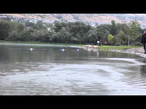 How Waboba Balls Bounce on Water