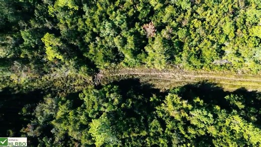 🚨 **Liberty County, GA • 321 Acres – Bordering Ft. Stewart!** 🚨 Hunters — here’s your shot at a **prime Georgia lease** right next to Ft. Stewart, one of the state’s best-managed deer habitats. This **321-acre tract** in Liberty County is loaded with **hardwoods, pine transitions, and a pond**, creating ideal cover and water for **whitetail deer, turkey, and waterfowl**. Thanks to Ft. Stewart’s **Quality Deer Management program**, you’ll be hunting mature bucks with top-tier genetics moving ri