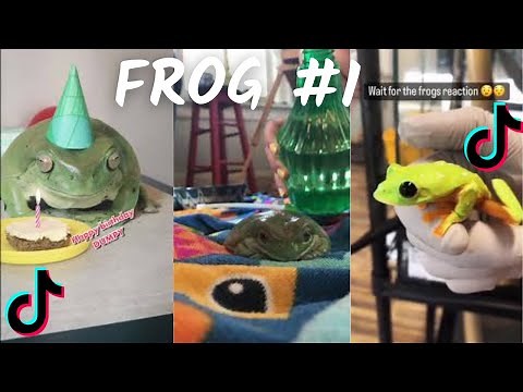 Funny Frog /Compilation TikTok 2023 4K