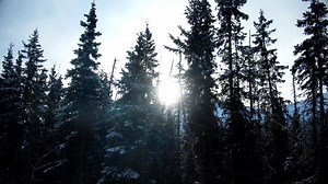 16K views · 253 reactions | The State of Alaska is more than 660,000...