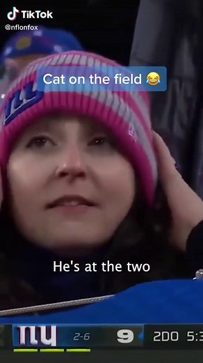 Cat Interception in NFL Game: Unbelievable Moment Caught on Camera