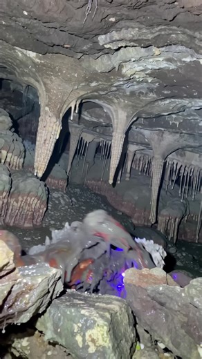 AlieniFiC (@alienific)’s videos with UFO - Carter James