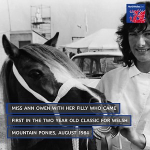 4.5K views · 27 reactions | The event has long been a favourite in the North Wales calendar | North Wales Live | Facebook