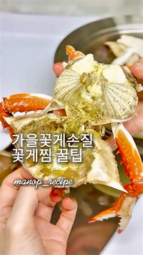 가을꽃게손질, 꽃게찜 꿀팁까지. #가을꽃게손질 #꽃게찜꿀팁 #제철꽃게 #꽃게손질법 #꽃게 #crab #crabs #꽃게찜