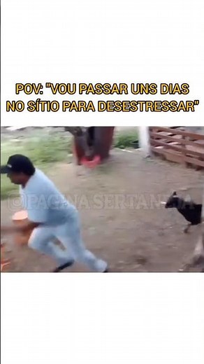 Chifrada de bode 🐐🤣 #humor #memes