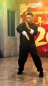 Chinese Kung Fu performance at reception for the lunar Chinese new year🥰 #ChineseKongfu #kungfu #kungfumaster | Xiongli Feng
