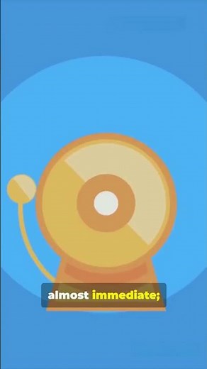 What Really Happens When You Get Shot in the Head? | Brain Science Explained.