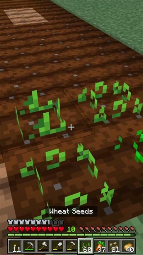 Your Crop Farm is Wrong (Do This Instead) #minecraft #shorts #minecrafttips