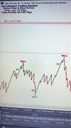Exploring Cultural Connections Between Egypt and USA