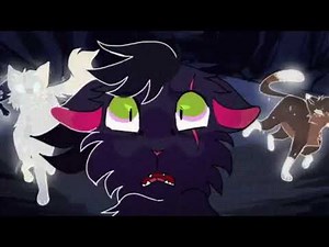 In The End ~ Warrior Cats Animator Tribute