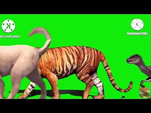 Animal Stampede Part 1