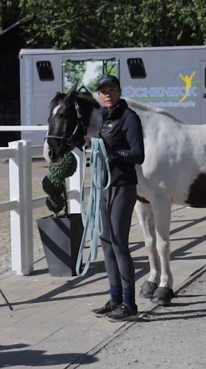 Wenn Helfer Hilfe brauchen 💔🐴