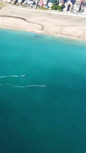 In between all those reefs is sand & you just know I’m only telling you about the stuff we want you to know about. Surfing, Foiling, SUP, Body Board, Body Surfing, Knee boarding , swimming , diving, boats and so much more, oh maybe a sand castle as well, “HEBARA BEACH” 🏖️ or as I like to call it home. | Dane John Gillett