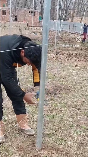 Apple Trellis Construction for High Density Orchard Systems 👌👌🫢 #new #trending #art #tiktok #viral