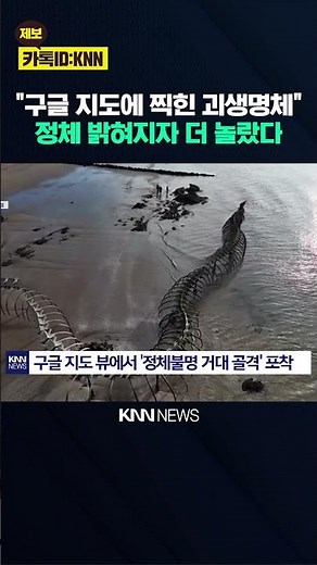 "Giant Skeleton on the Beach": The Google Maps Mystery / KNN