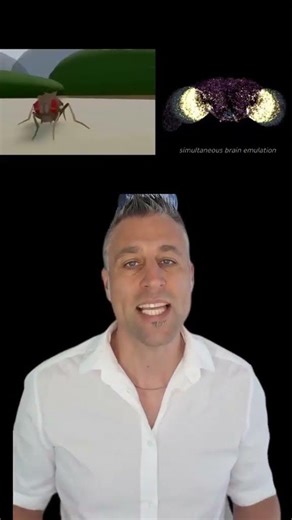 Brain digitized: Scientists copy consciousness into the computer