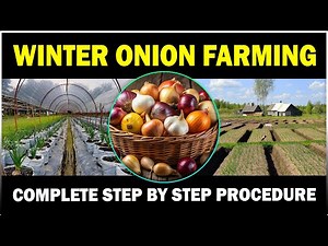 How to Grow Onions in Winter | Complete Farming Guide for Beginners