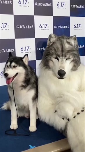 バスカヴィル家の犬 シャーロック劇場版 大ヒット上映中！