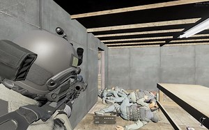 GROUND BRANCH肩部视角实录