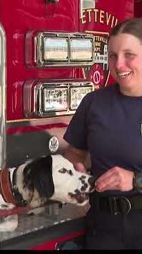 Fayetteville Fire Department welcomes 7-month-old Dalmatian