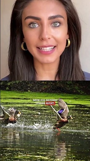 Kostenlose WeTransfer Alternative (1/7) 🔥