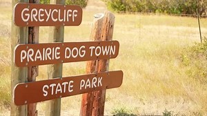 Prairie Dog Town: State park devoted to nature's engineer