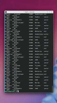 awk en Linux: Filtra y analiza datos como SQL desde la terminal