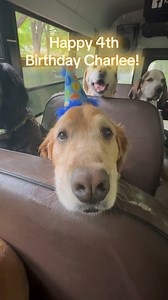 Happy 4th birthday Charlee! Thank you Mauricio Suarez! 🦴🥜 | K9 Konvoy