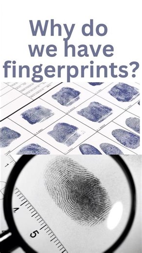 Why do we have fingerprints? #questionskidsask #funscienceforkids