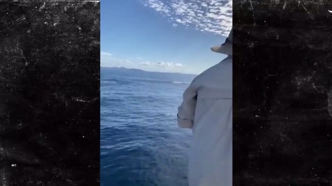 Wild Jumping Shark Almost Lands in Boat in Australia