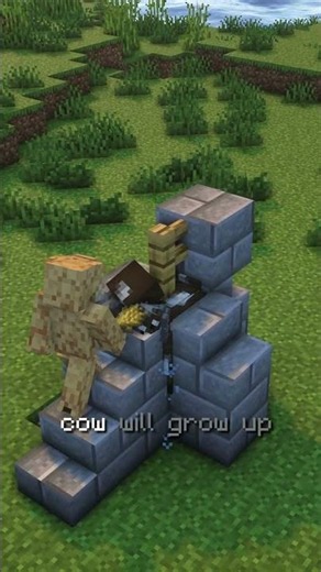 The Easiest Automatic Cow Farm in Minecraft