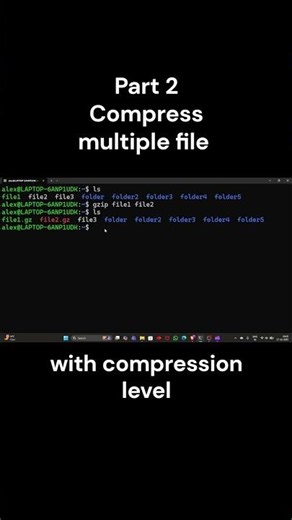 Compress Multiple Files & Maximum Compression (-9)