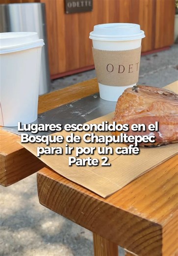 Lugares Escondidos en el Bosque de Chapultepec: Café Parte 2