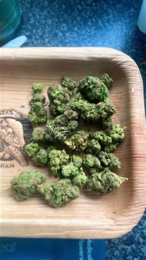 Uk legal medical Curaleaf zookies 26% thc 1% cbd #medicated #medicatedmentalhealth