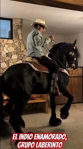 The Indian in Love, Laberinto Group