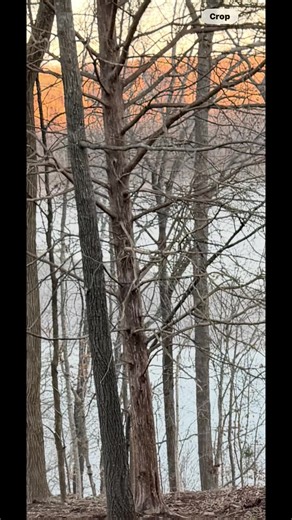 We cut down a dying cedar tree on the lot that my Dad gave us and I realized how much life the wood still had in it. Let’s make a bench!! My Dad absolutely loved his trees and I know he would love the end result. Shout out to my main man.. you knocked it out of the park Baby! 😘 #mydadstree #cedarbench #laboroflove #firsttimebuilder #wood