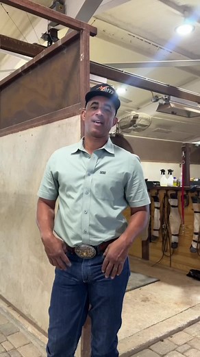 You can never have too many palominos in the barn! 👏🏾 #reining #horse #fypシ